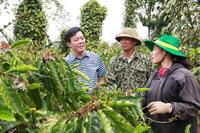 <a href="/ban-tin-binh-dien" title="BẢN TIN BÌNH ĐIỀN" rel="dofollow">BẢN TIN BÌNH ĐIỀN</a>